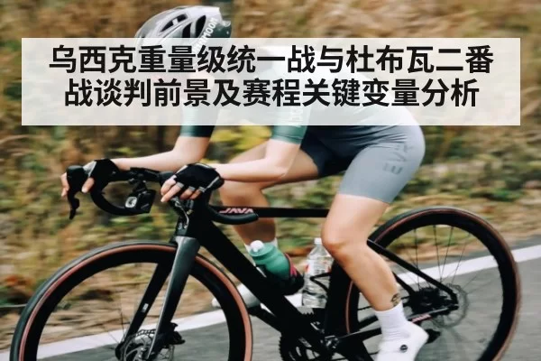 乌西克重量级统一战与杜布瓦二番战谈判前景及赛程关键变量分析 | 128Tick